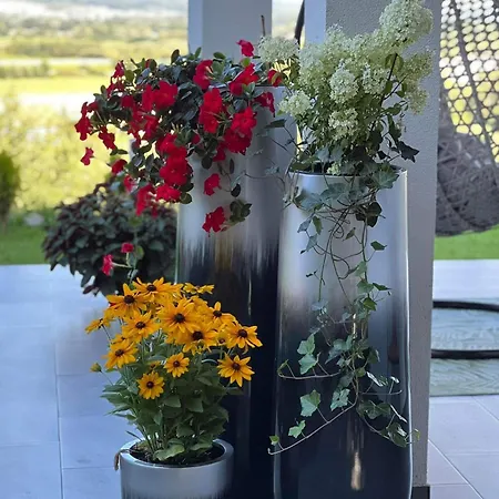 Daire Nad Dolina Dunajca